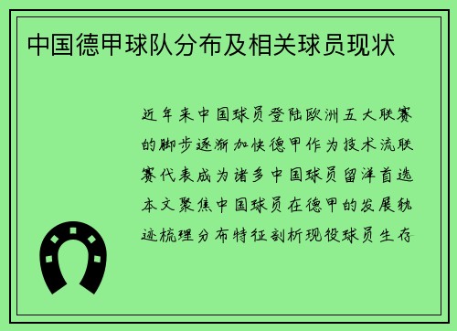 中国德甲球队分布及相关球员现状